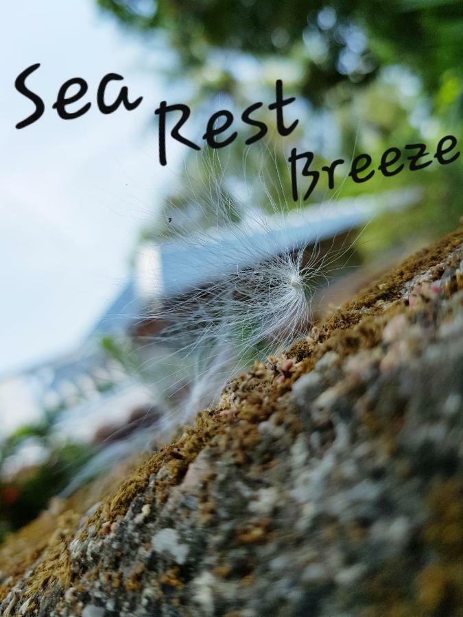 Breeze Guest House تريكونامالاي المظهر الخارجي الصورة