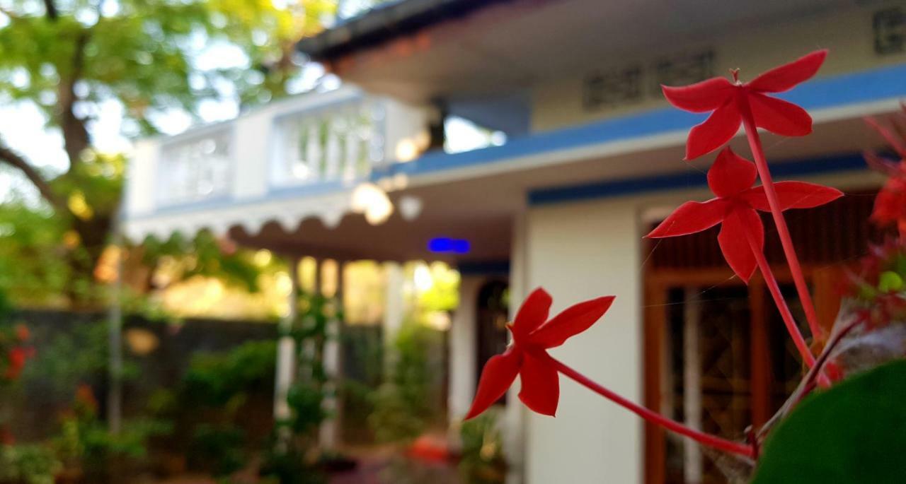 Breeze Guest House تريكونامالاي المظهر الخارجي الصورة